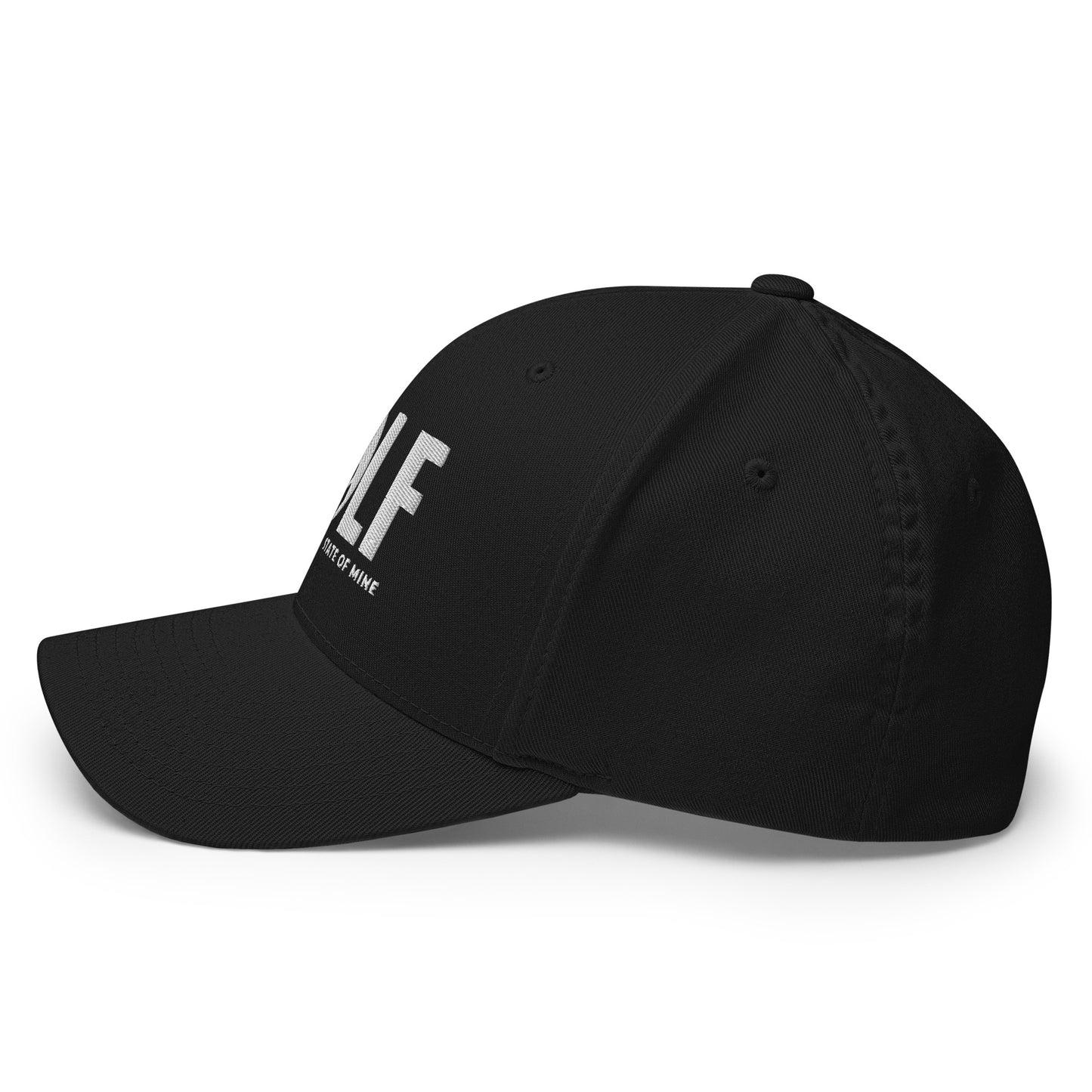 Michigan Golf State of Mine Flexfit Hat