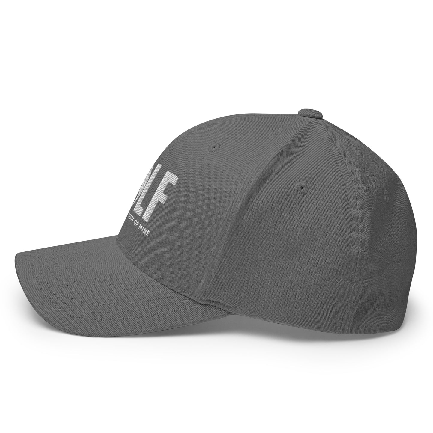 Michigan Golf State of Mine Flexfit Hat