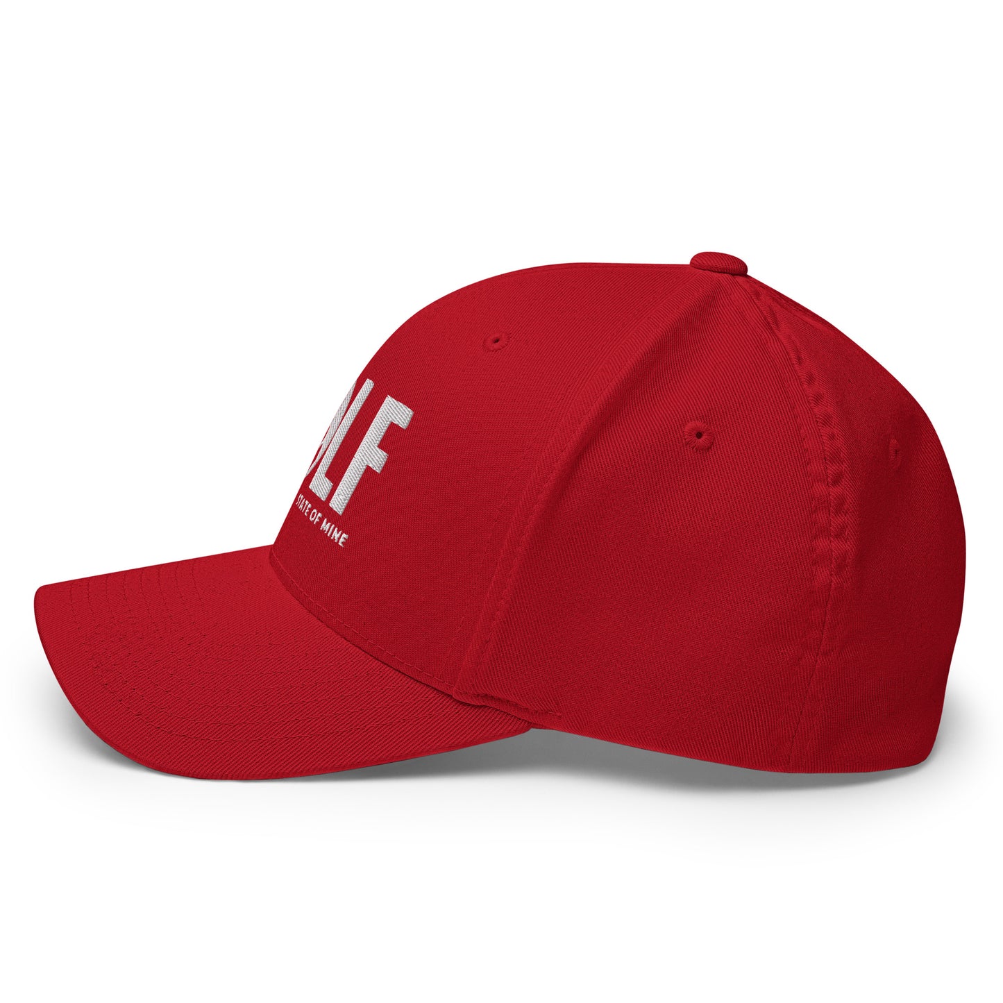 Michigan Golf State of Mine Flexfit Hat